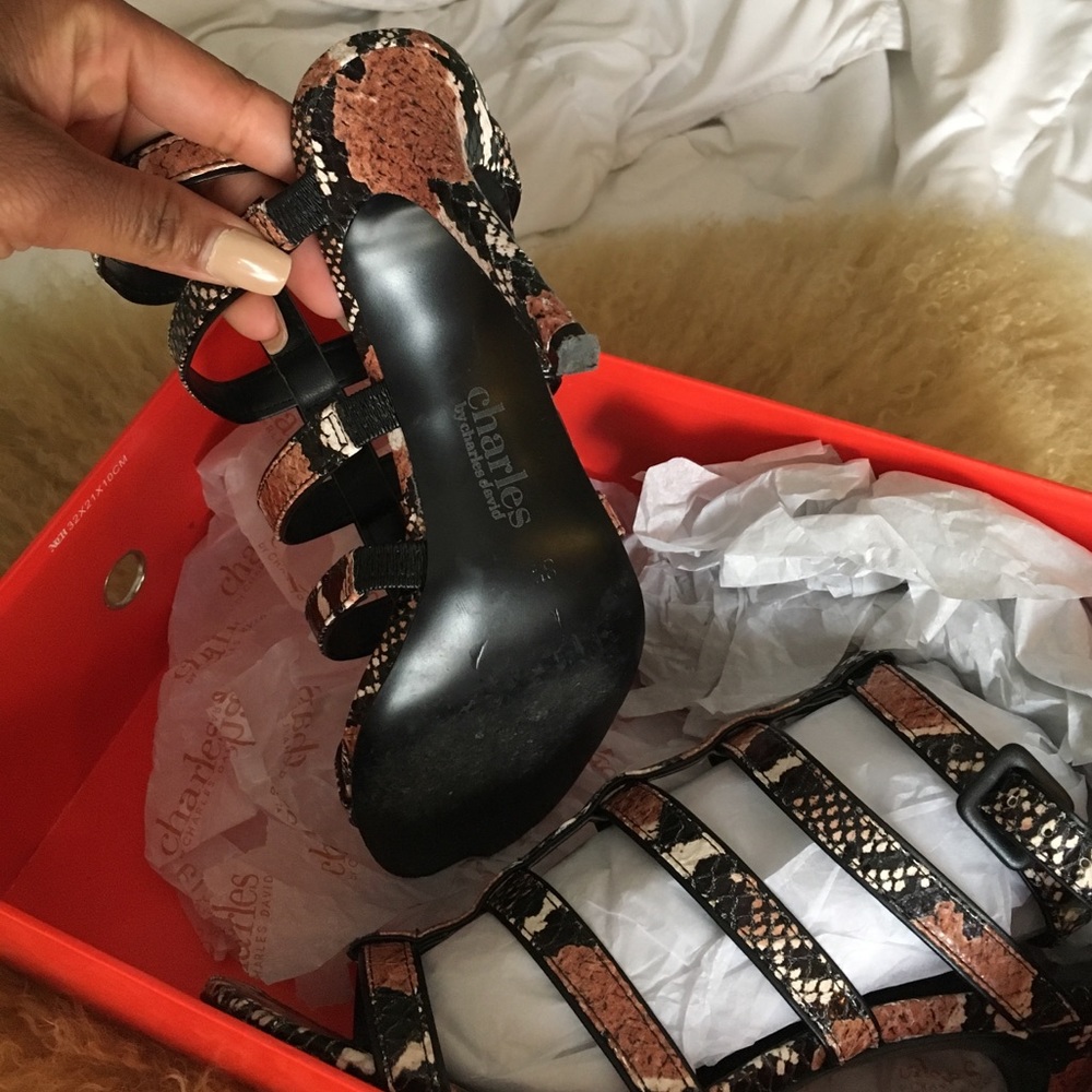 Snake Skin - Picture 2 of 3