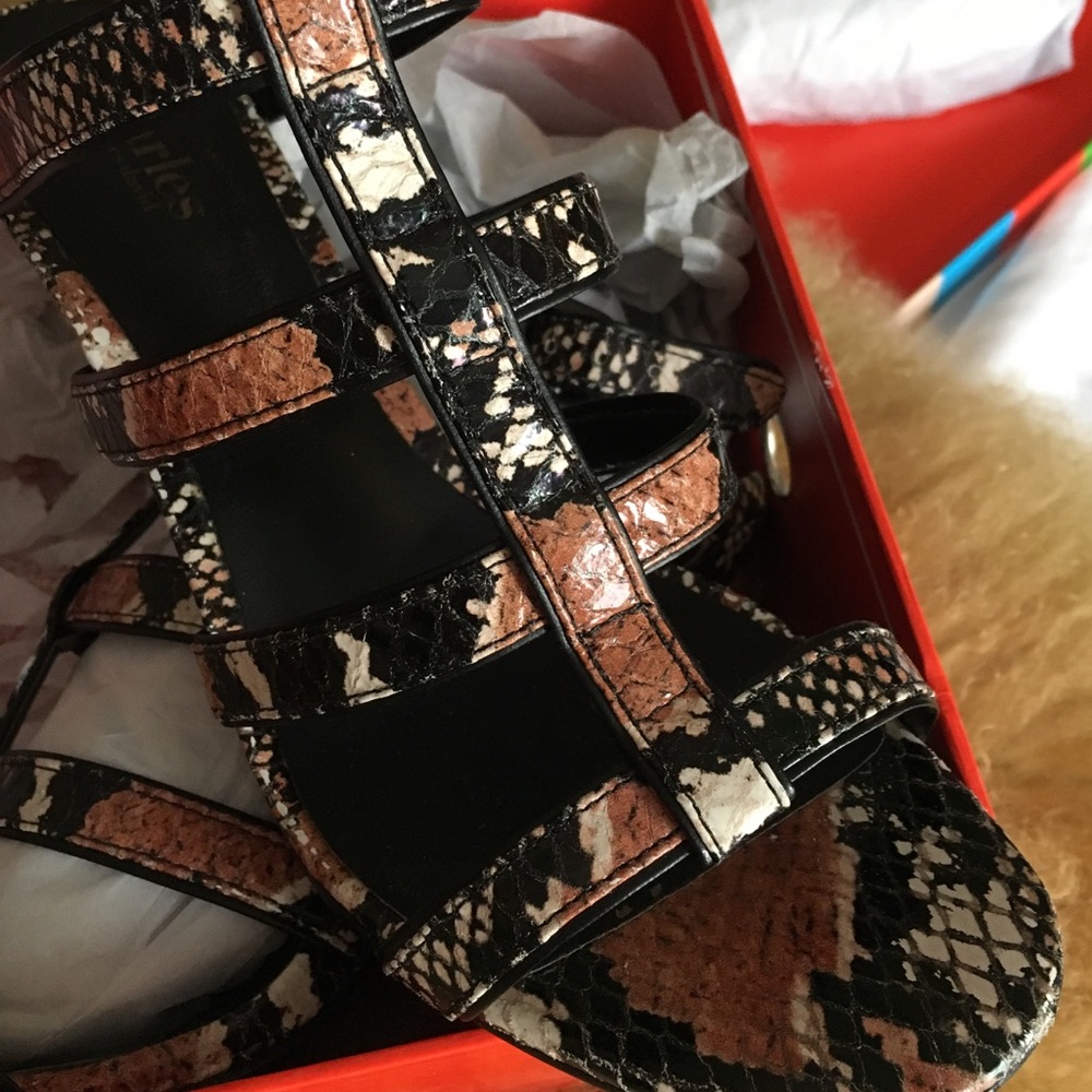 Snake Skin - Picture 3 of 3