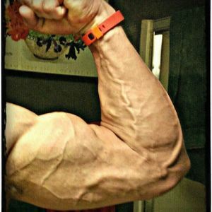 Meet your Posher, Joe