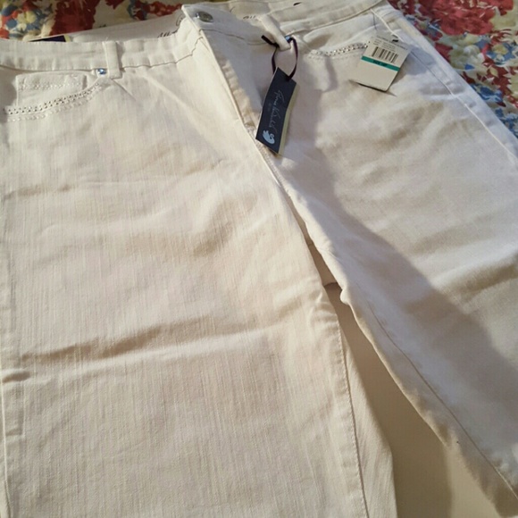 NWT GLORIA VANDERBILT CAPRI JEANS S-16P - Picture 2 of 4