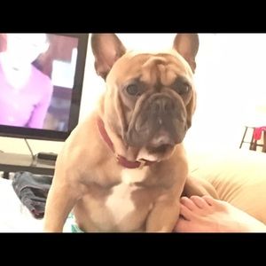 Meet your Posher, Chris