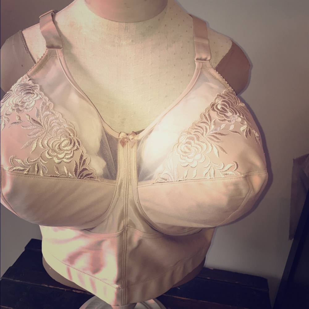 Embroidered FullFigure Full Coverage Long Line Bra