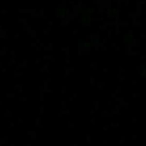 Meet your Posher, Rosalie