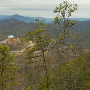 Meet your Posher, Kenneth