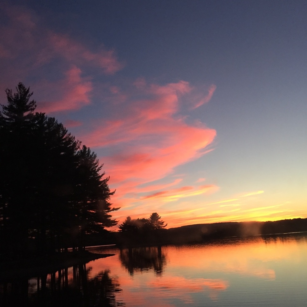 Meet your Posher, Mackenzie