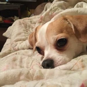 Meet your Posher, Elijah