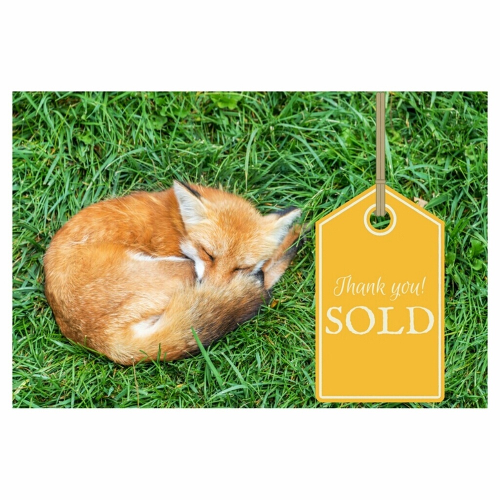 SOLD or TRADED