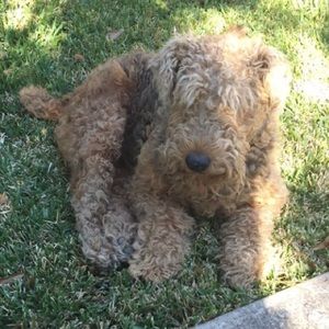 Meet your Posher, Mary