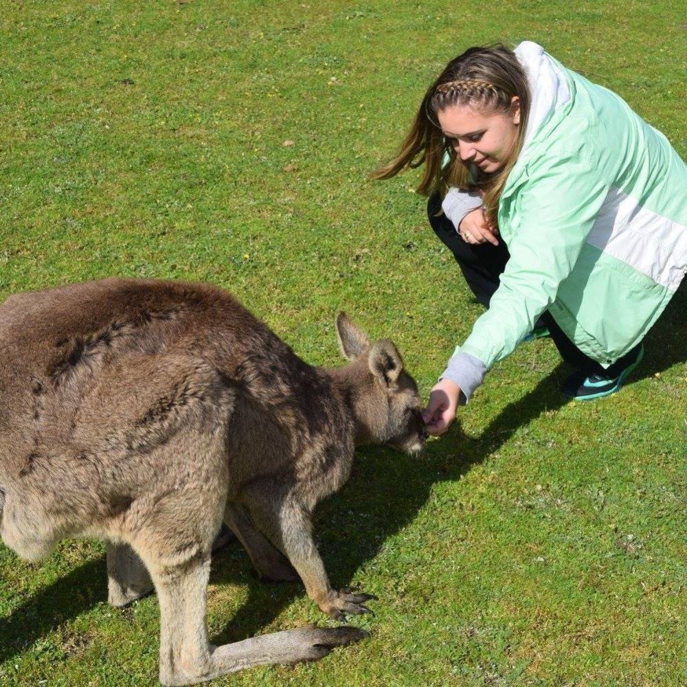 Meet your Posher, Kim