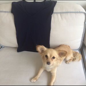 Banana Republic spandex shirt size XS