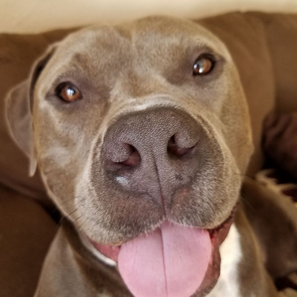 Meet your Posher, Juli