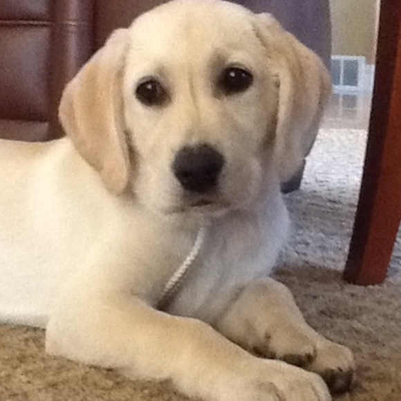 Meet your Poshmark Ambassador, Roxanndrea - Picture 5 of 7