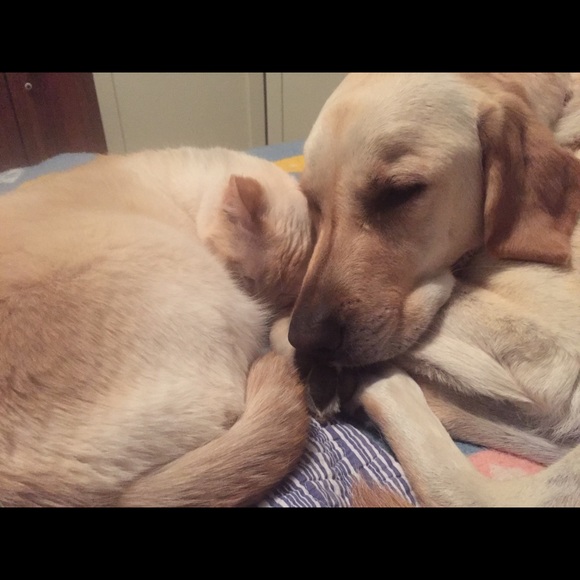 Meet your Poshmark Ambassador, Roxanndrea - Picture 7 of 7