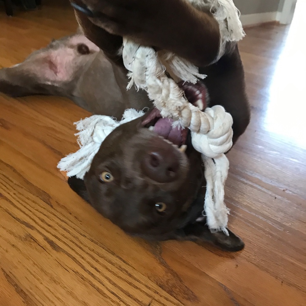 Meet your Posher, Amy