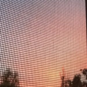 Meet your Posher, Riley