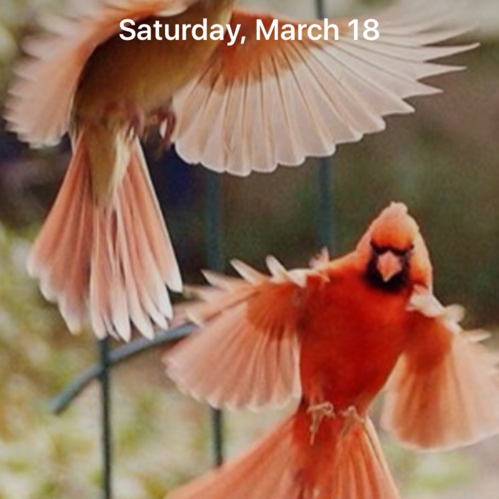 Meet your Posher, Claudia