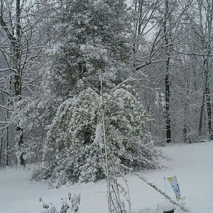 Meet your Posher, Christy