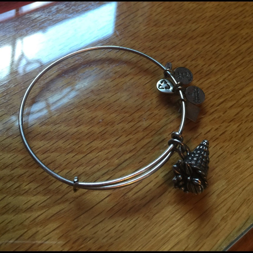 Alex and Ani cornucopia charity by design