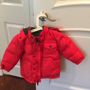 Gap boy/girl jacket 3T