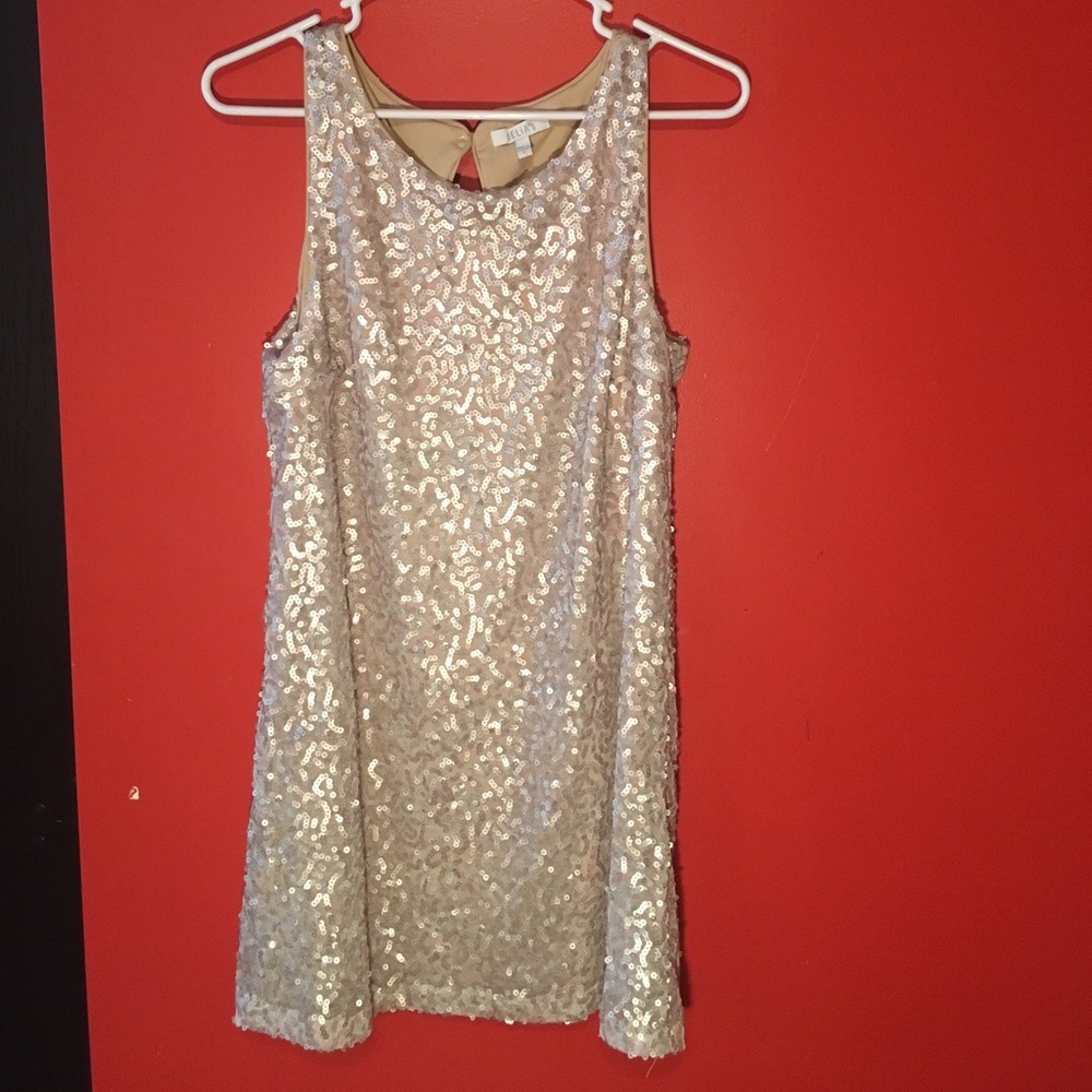 Sparkly Cocktail Dress
