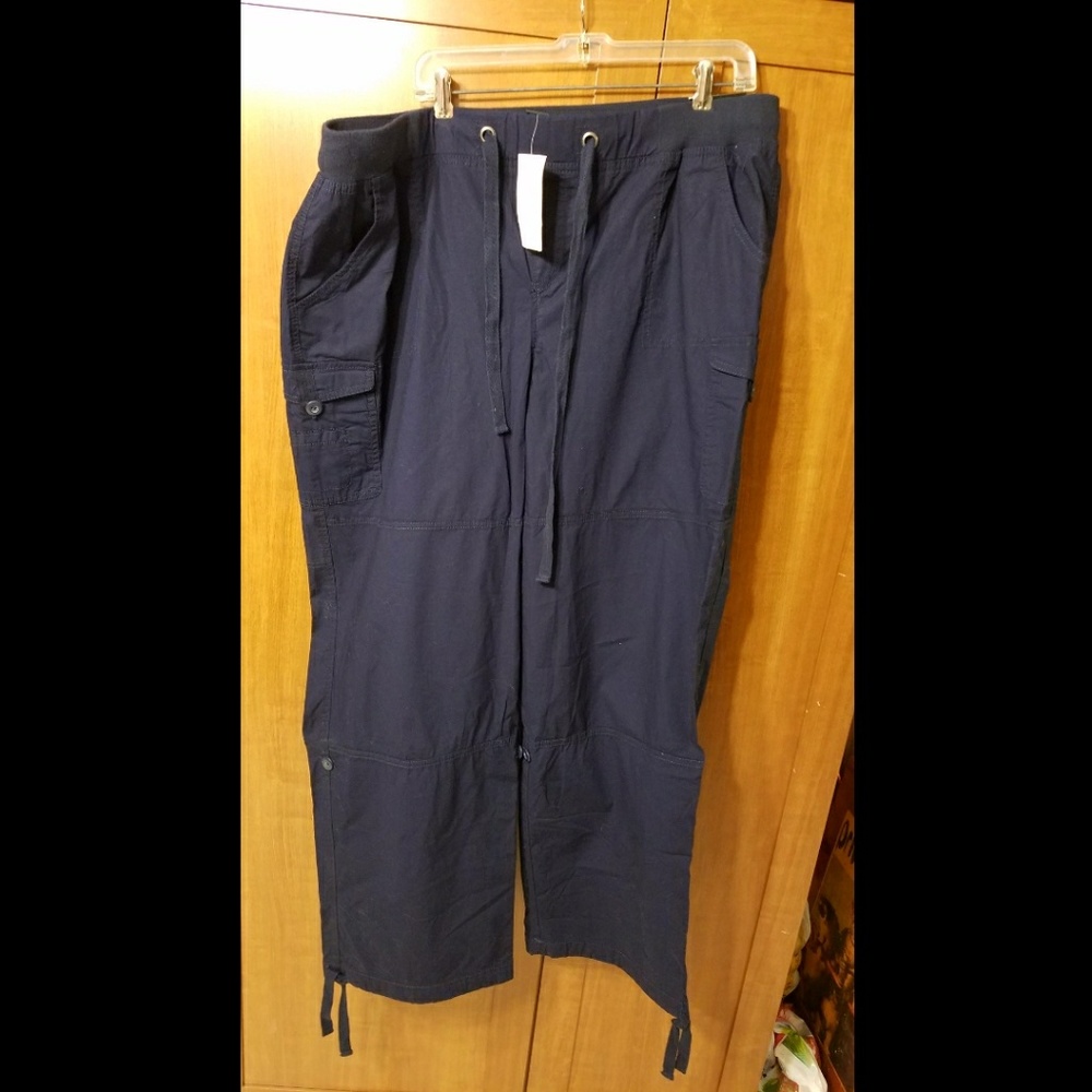Lane Bryant Pants 22