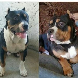 Meet your Posher, Derrick