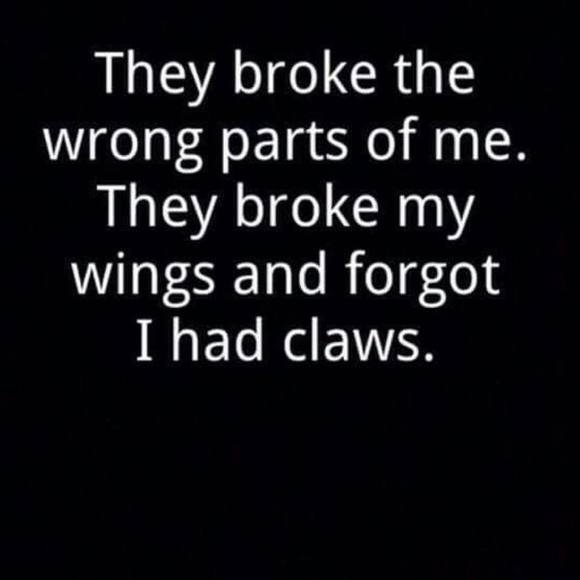 Meet your Posher, Kym - Picture 1 of 1