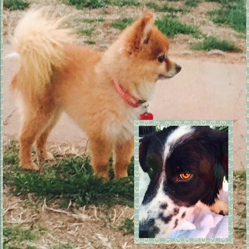 Meet your Posher, Kristina