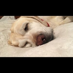 Meet your Posher, Tori