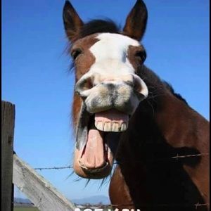 Meet your Posher, Cathleen