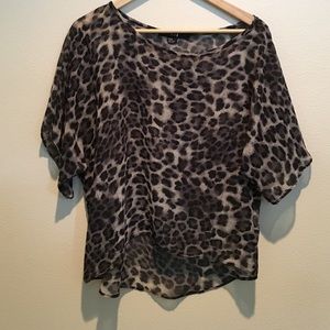 Sheer animal print top