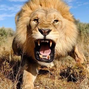 Meet your Posher, Orville jay