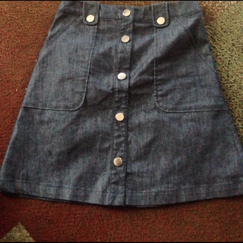 Button front A line skirt by 7th Avenue Design