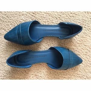 Snake Skin Blue Flats