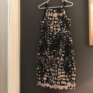 Beautiful Chic Tahari dress