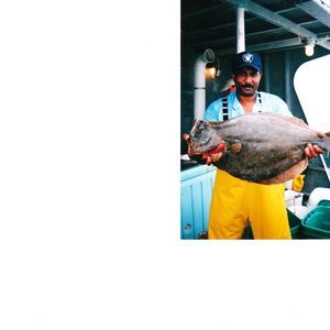 Meet your Posher, Herbert