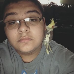 Meet your Posher, Armando