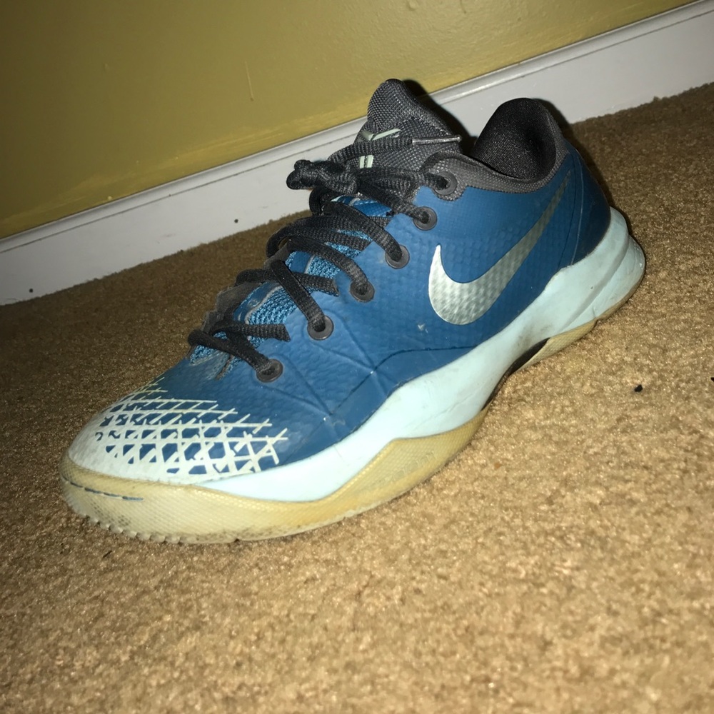 Kobe 8 venomenons