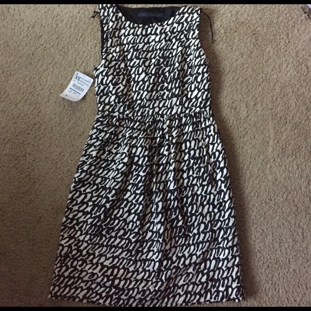 NWT Zara office dress XS Petite