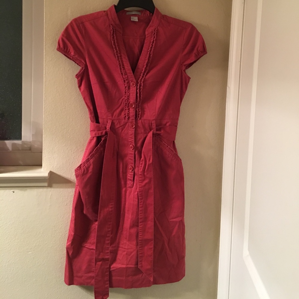 H&M Rustic Rose dress