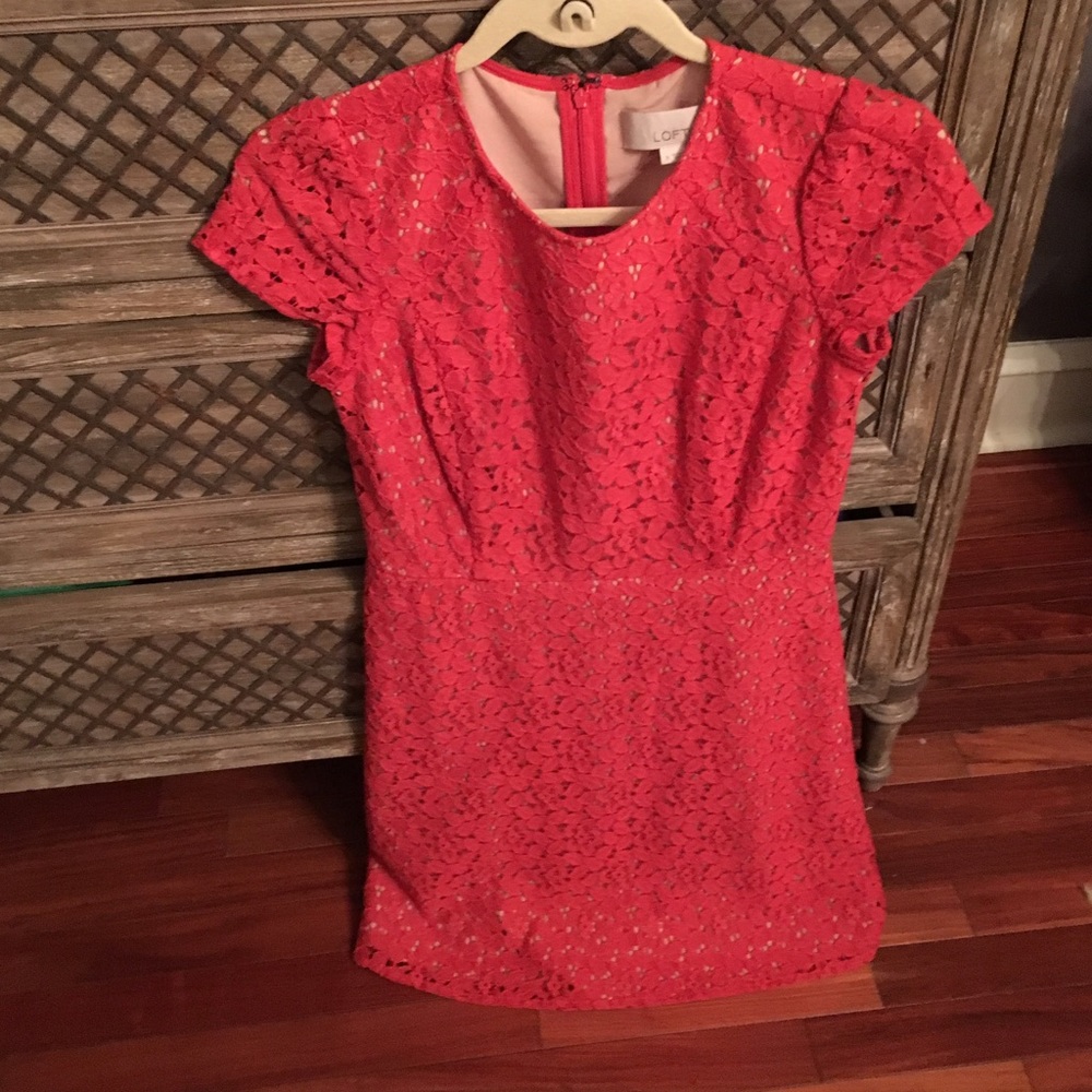 Ann Taylor loft holiday dress
