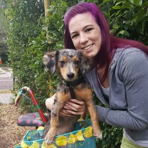 Meet your Posher, Abby