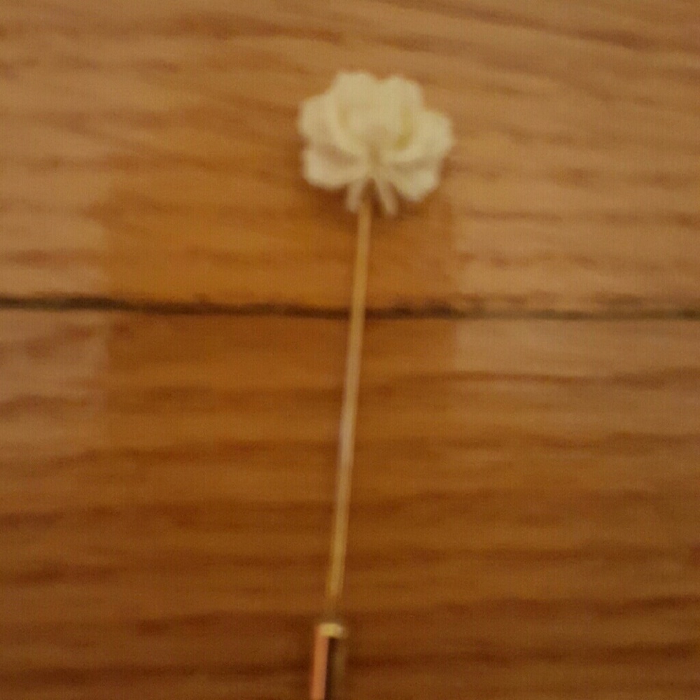 Stick pin....found in my vintage parlor