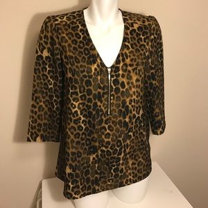 Express V Neck Blouse