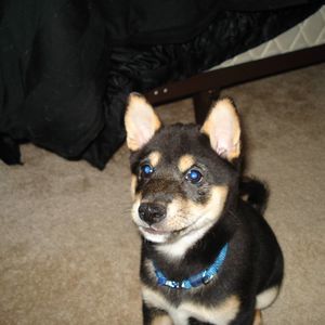 Meet your Posher, Karen