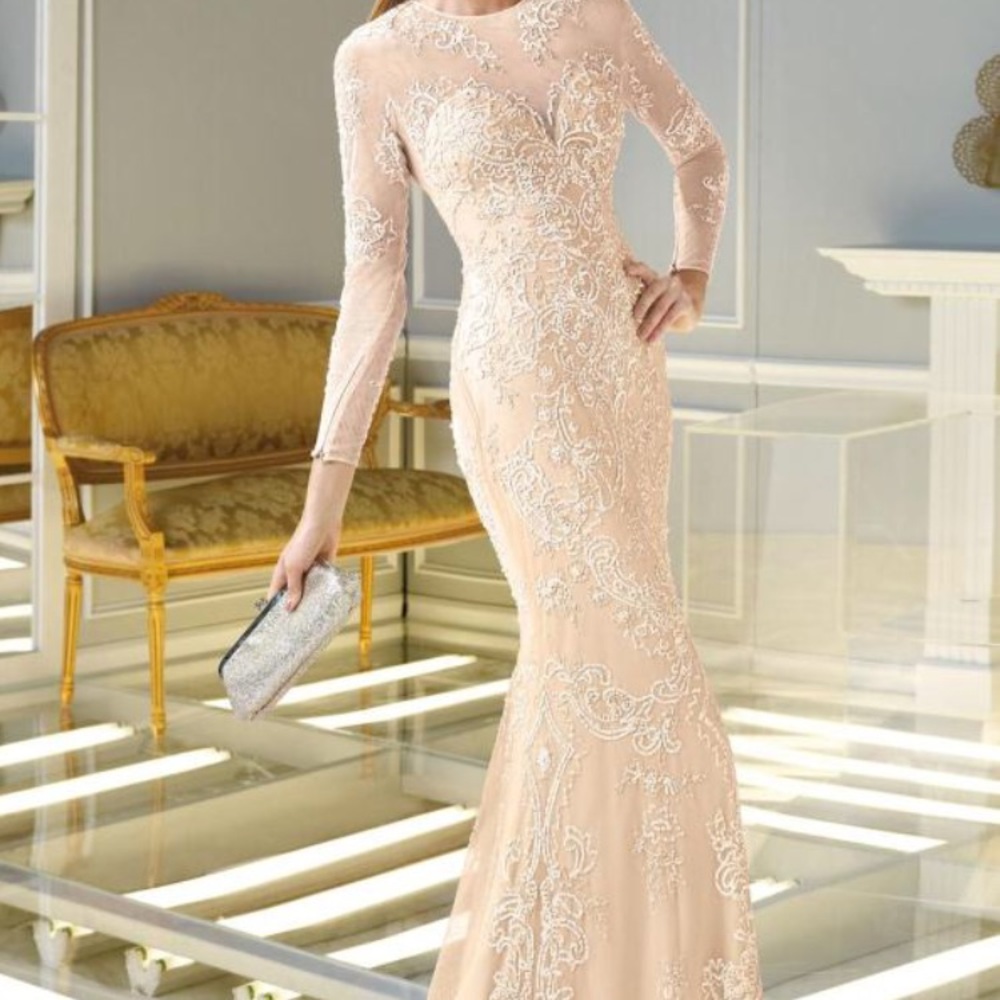 Mesh Full Sleeved Gown by Alyce Claudine