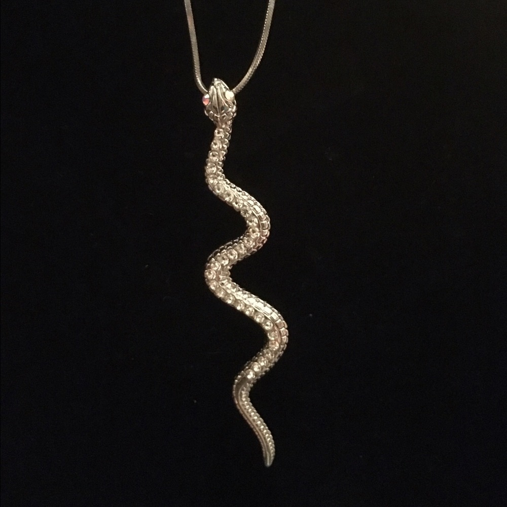 Silver plated necklace and snake pendent