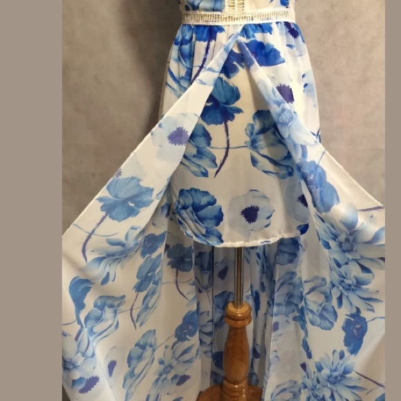 🎉HP🎉blue and white floral maxi dress - Picture 4 of 8