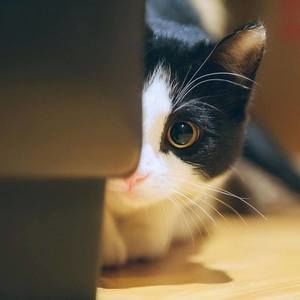 Meet your Posher, Natalie thy