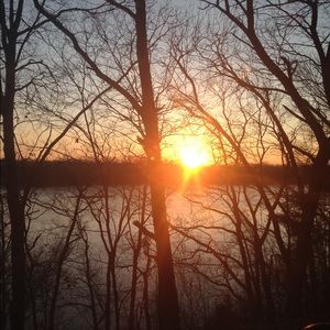 Meet your Posher, Libby